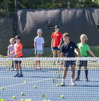 Pure Tennis, Pure Fun